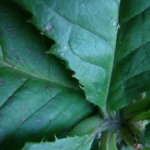 Photo #11404599