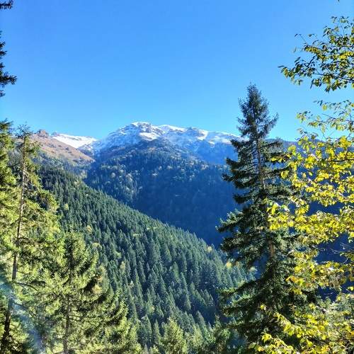 Photo #11404834