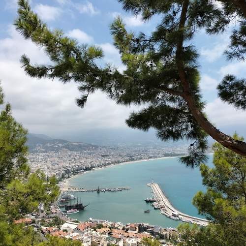 Photo #11404934