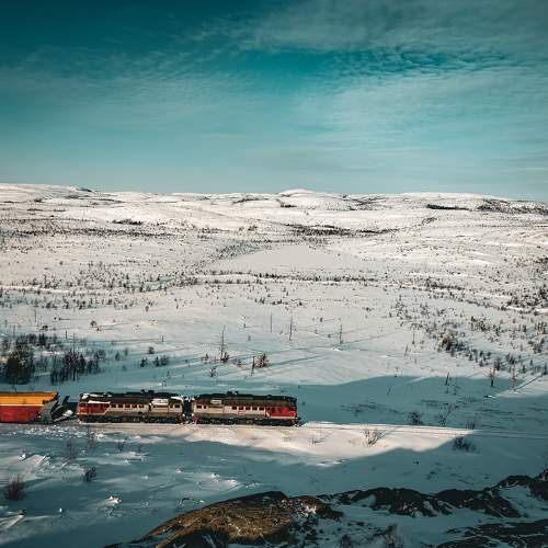 Photo #11405004