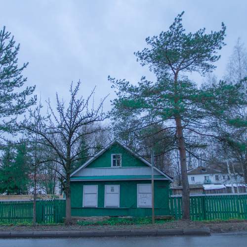 Photo #11405087