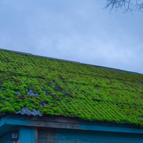 Photo #11405089