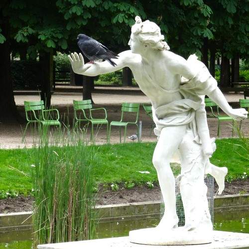 Photo #11405391