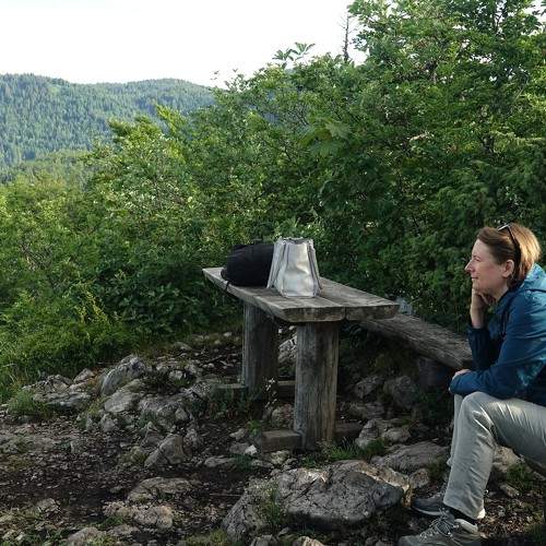Photo #11405443