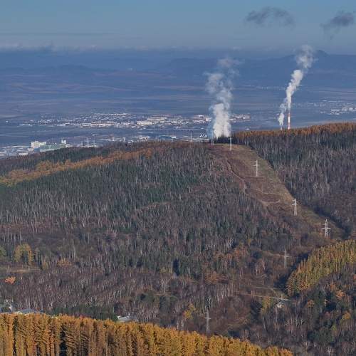 Photo #11405498