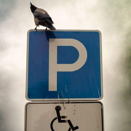 Photo #11405662