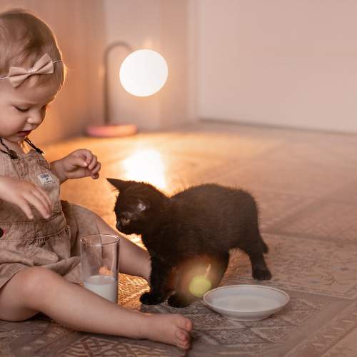 Photo #11405702
