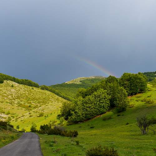 Photo #11406195