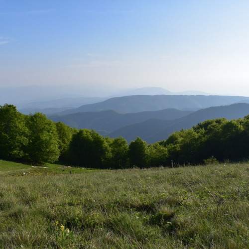 Photo #11406196