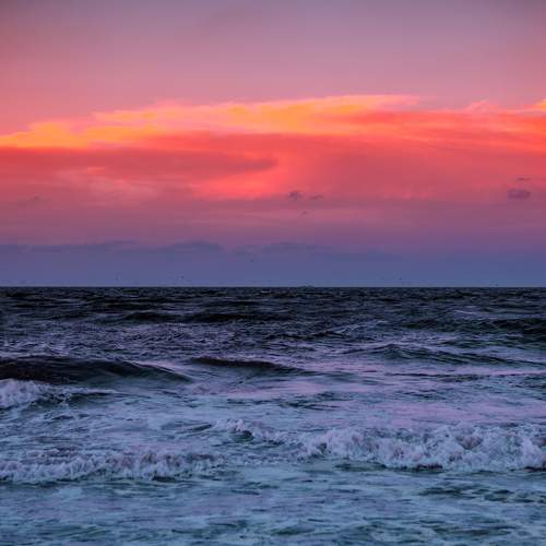 Photo #11406200