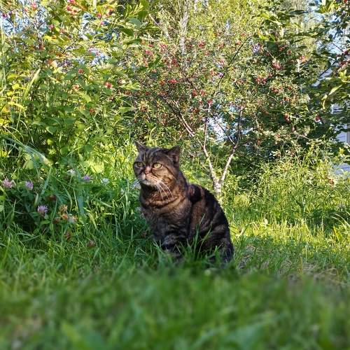Photo #11406449