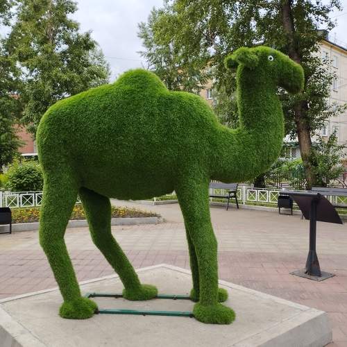 Photo #11406450