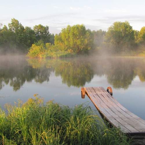 Photo #11406521