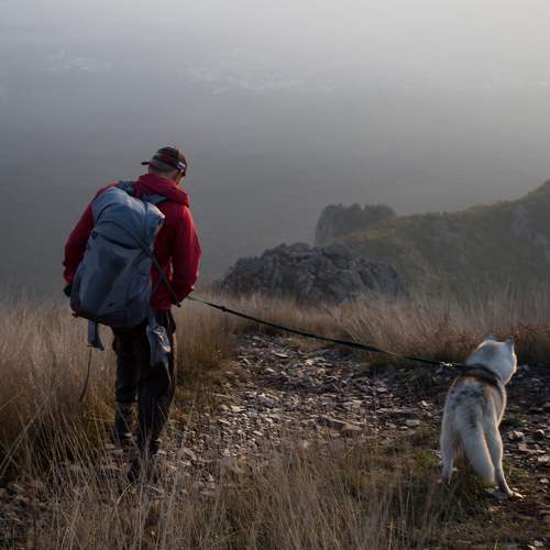 Photo #11406722