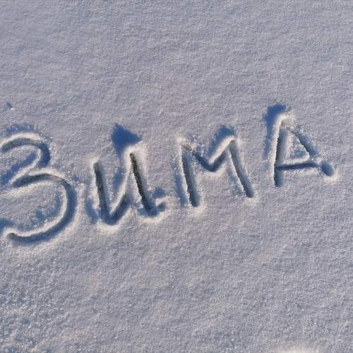 Photo #11406727