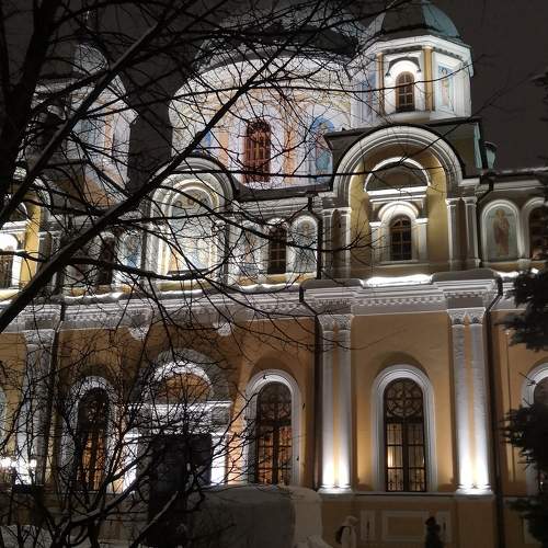 Photo #11406845