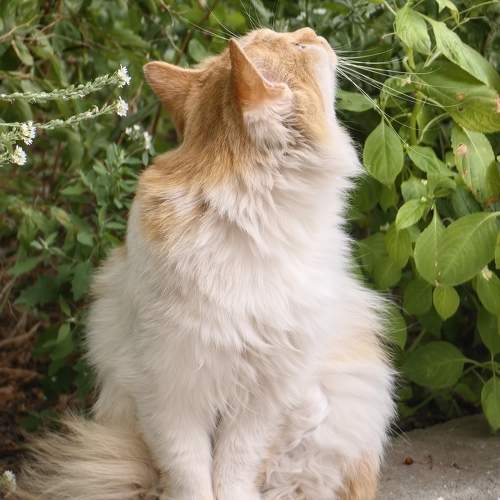 Photo #11406921