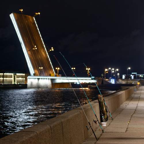 Photo #11407353