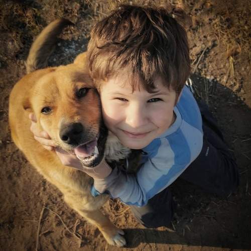 Photo #11407455