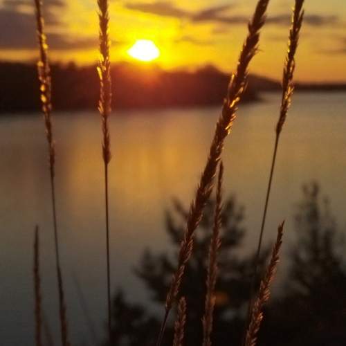 Photo #11407496