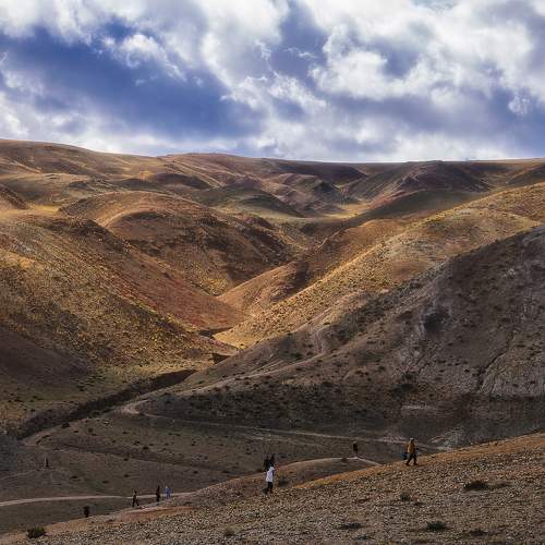 Photo #11407615