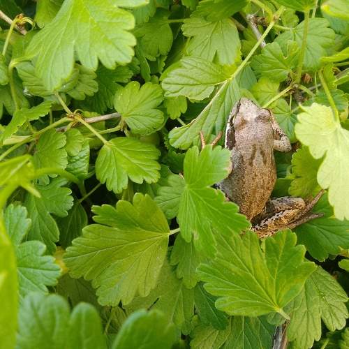 Photo #11407836