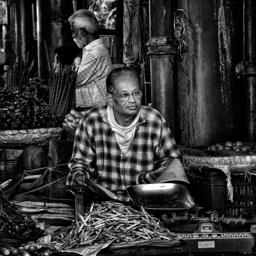 Photo #11408278