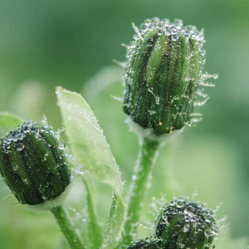 Photo #11408293