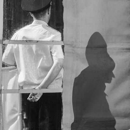 Photo #11408819