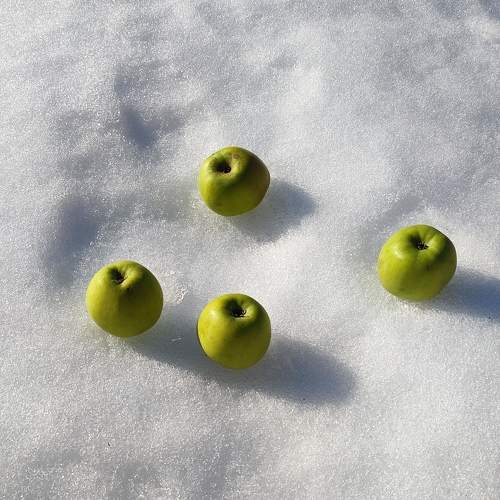 Photo #11408897