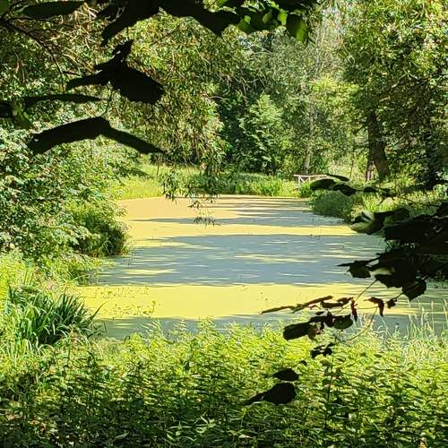 Photo #11408898