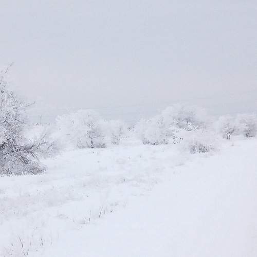 Photo #11409071