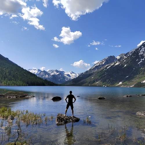 Photo #11409134