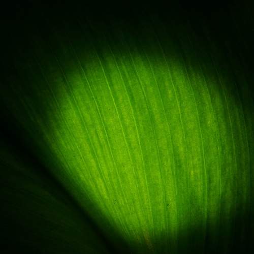 Photo #11409489