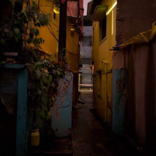 Photo #11409812