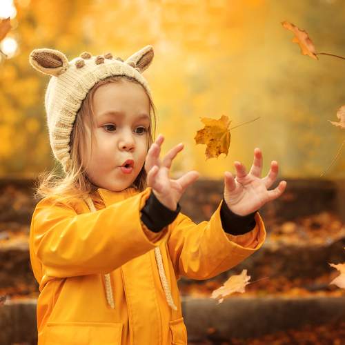 Photo #11409994
