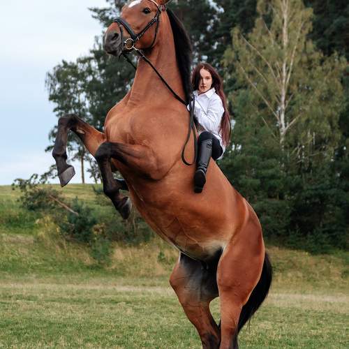 Photo #11410100