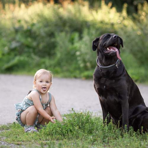 Photo #11410104
