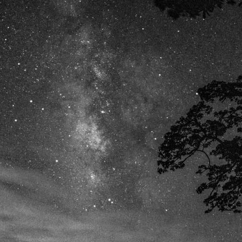 Photo #11410517