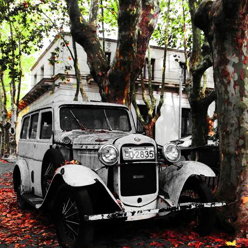 Photo #11410613