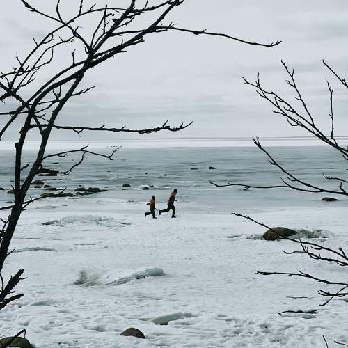 Photo #11410707