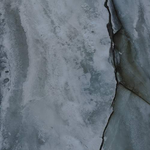 Photo #11410708