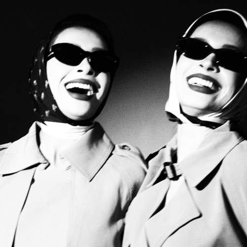 Photo #11411282