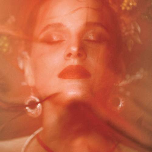 Photo #11411326