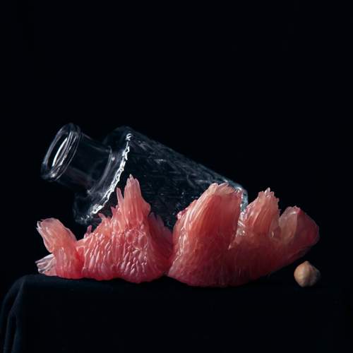 Photo #11411424