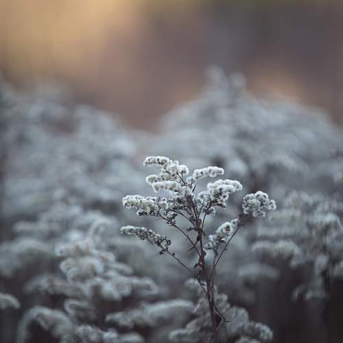 Morning colors.
