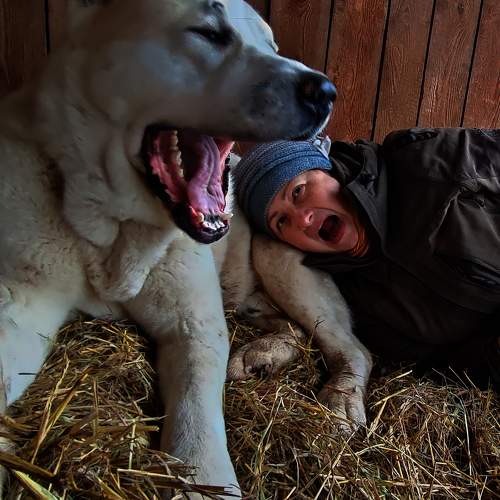 Photo #11412182