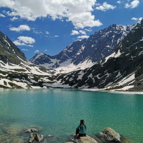 Photo #11412508