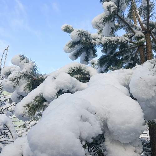 Photo #11412705
