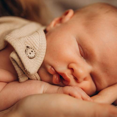 Photo #11412783